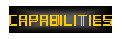 Consulting Capabilities