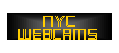 NYC Web Cams